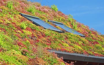 Street On The Fosse living roof systems
