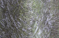 Street On The Fosse fibreglass roof work